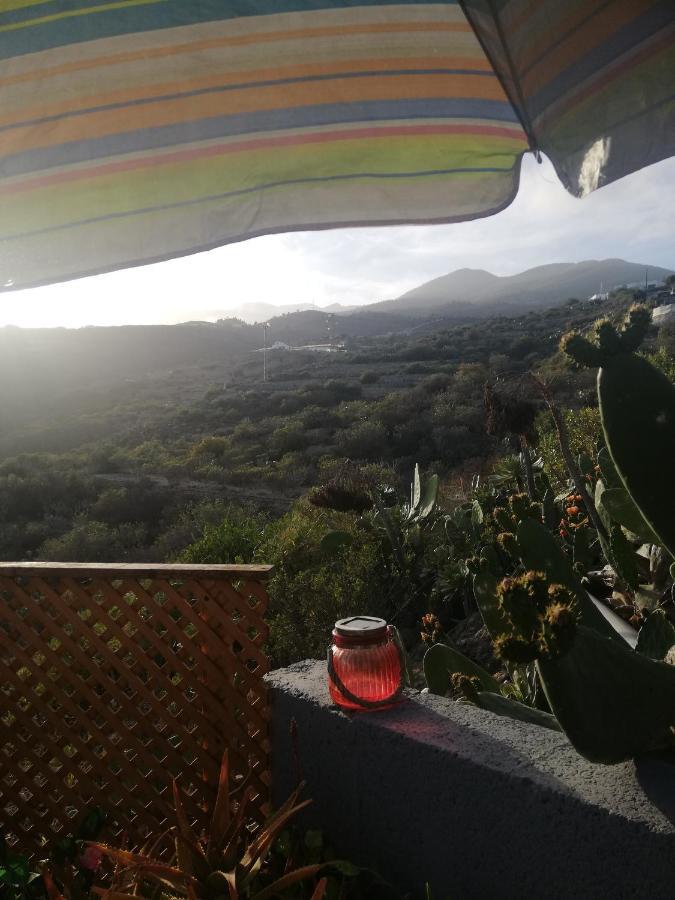 Luxe tent Yurta De Arico *